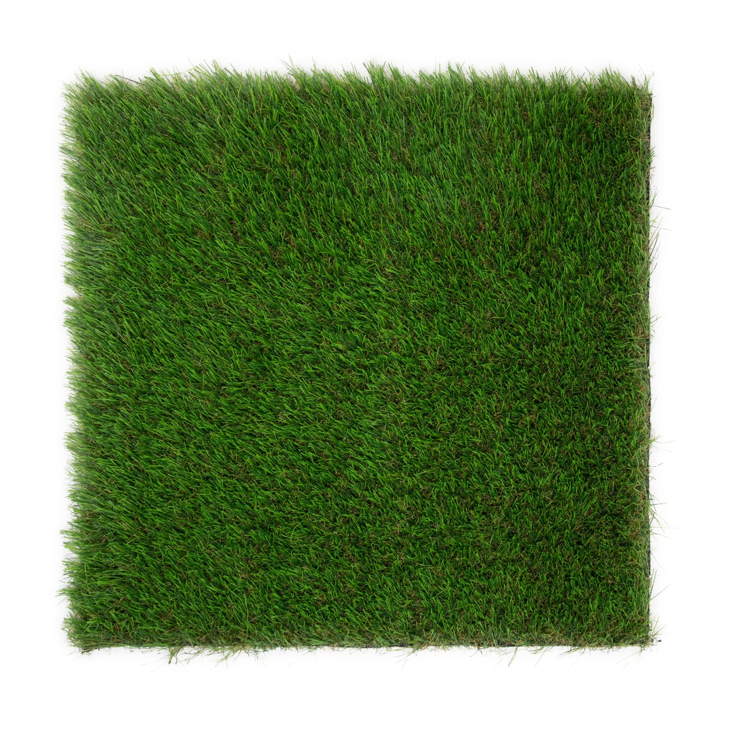 Cyanora 8m x 3m