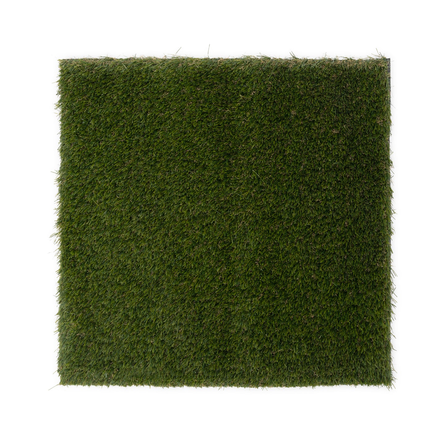 Aura Wall Grass