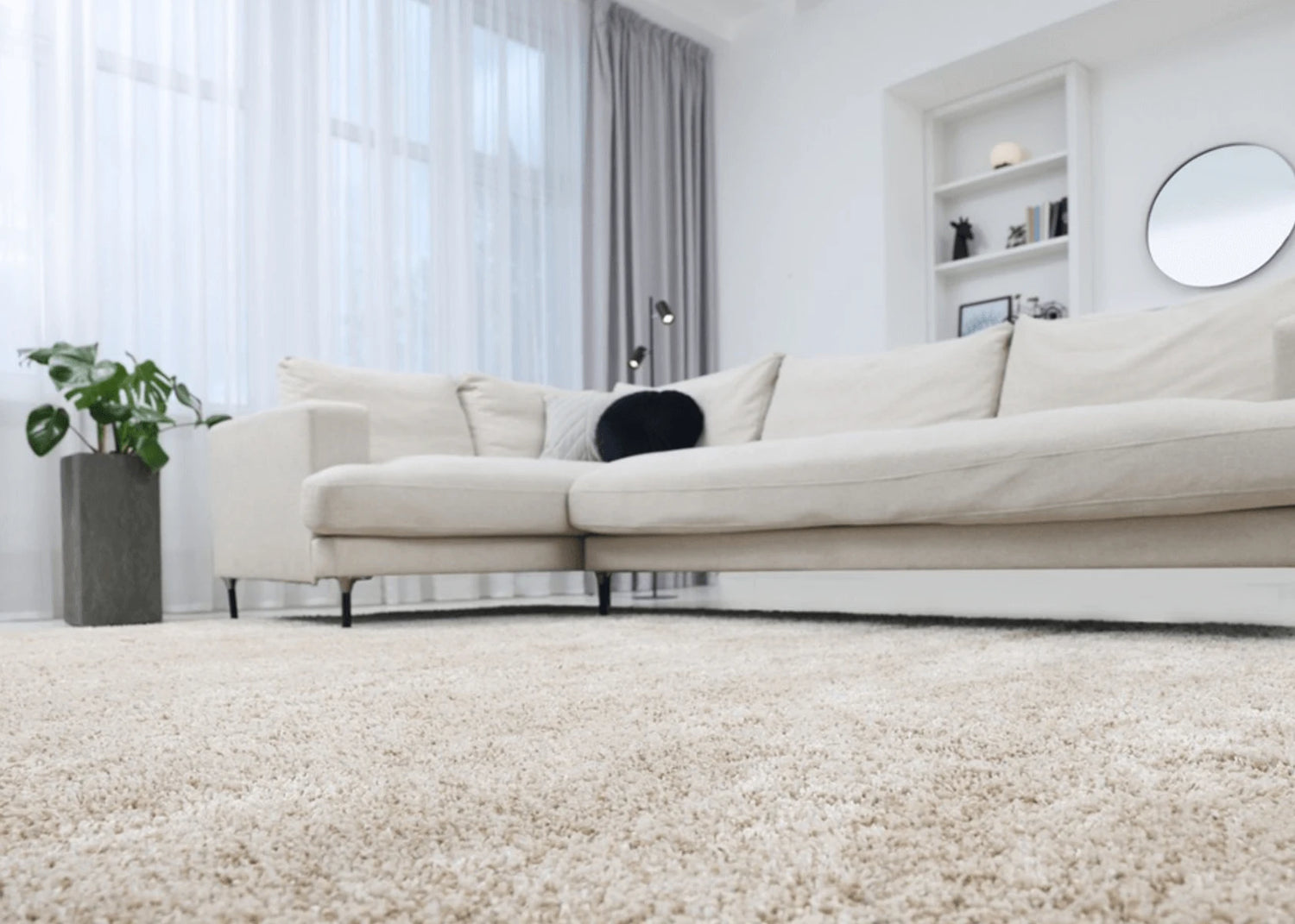 Carpet