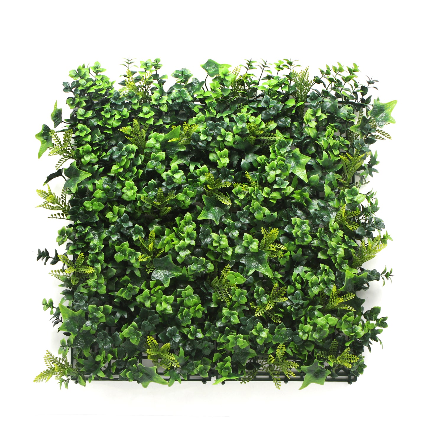 Holly Hedge Mat (Pack of 5)