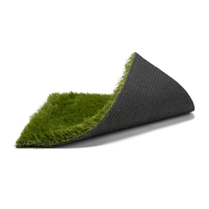 Canon Wall Grass