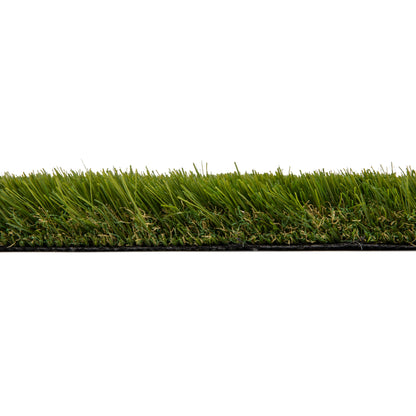 Canon Wall Grass