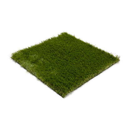 Canon Wall Grass Sample