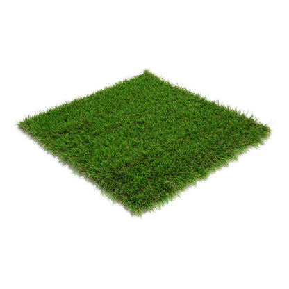 Cascade Wall Grass