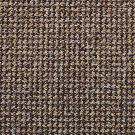 Solido 5 H1428 Anthracite Carpet