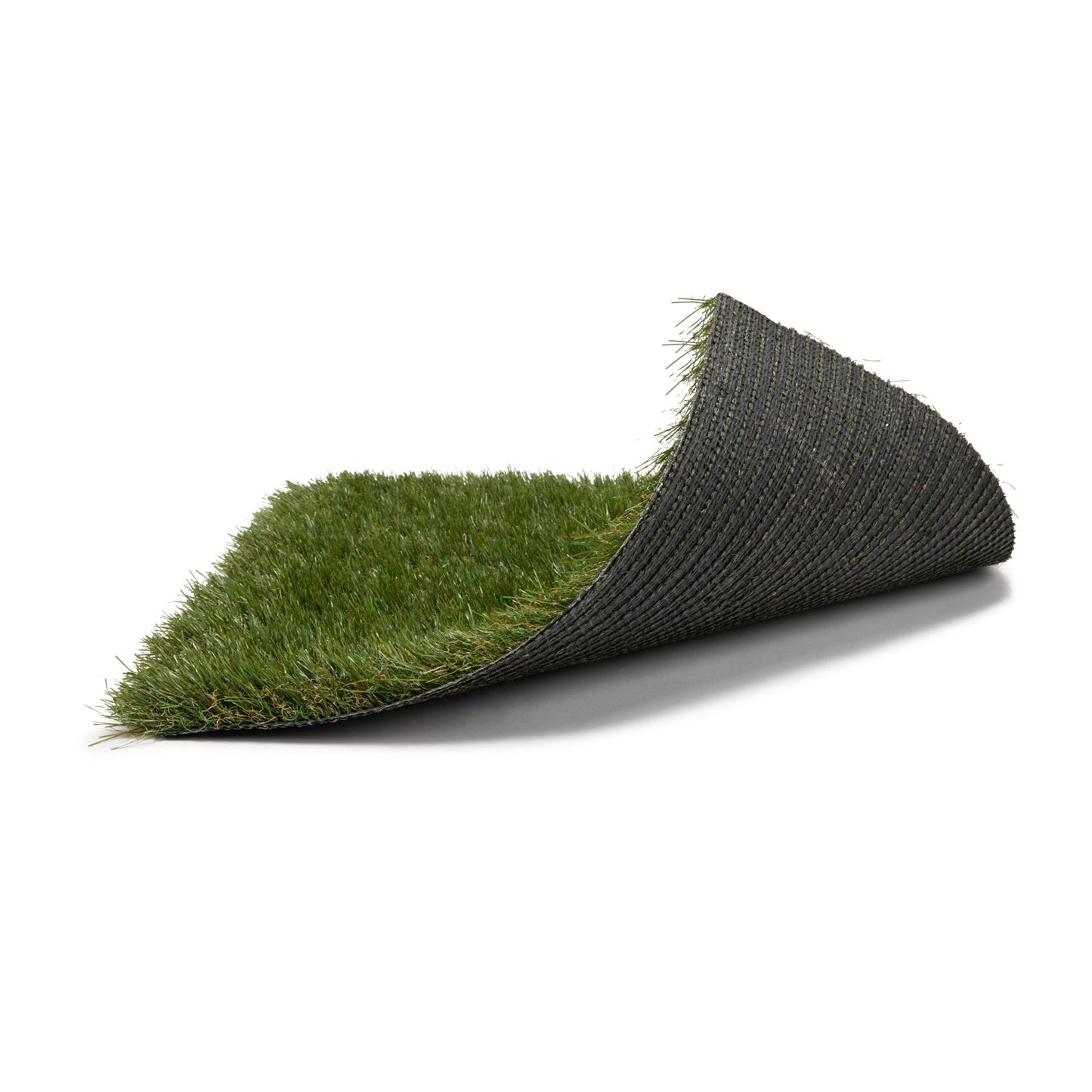 Pioneer Wall Grass