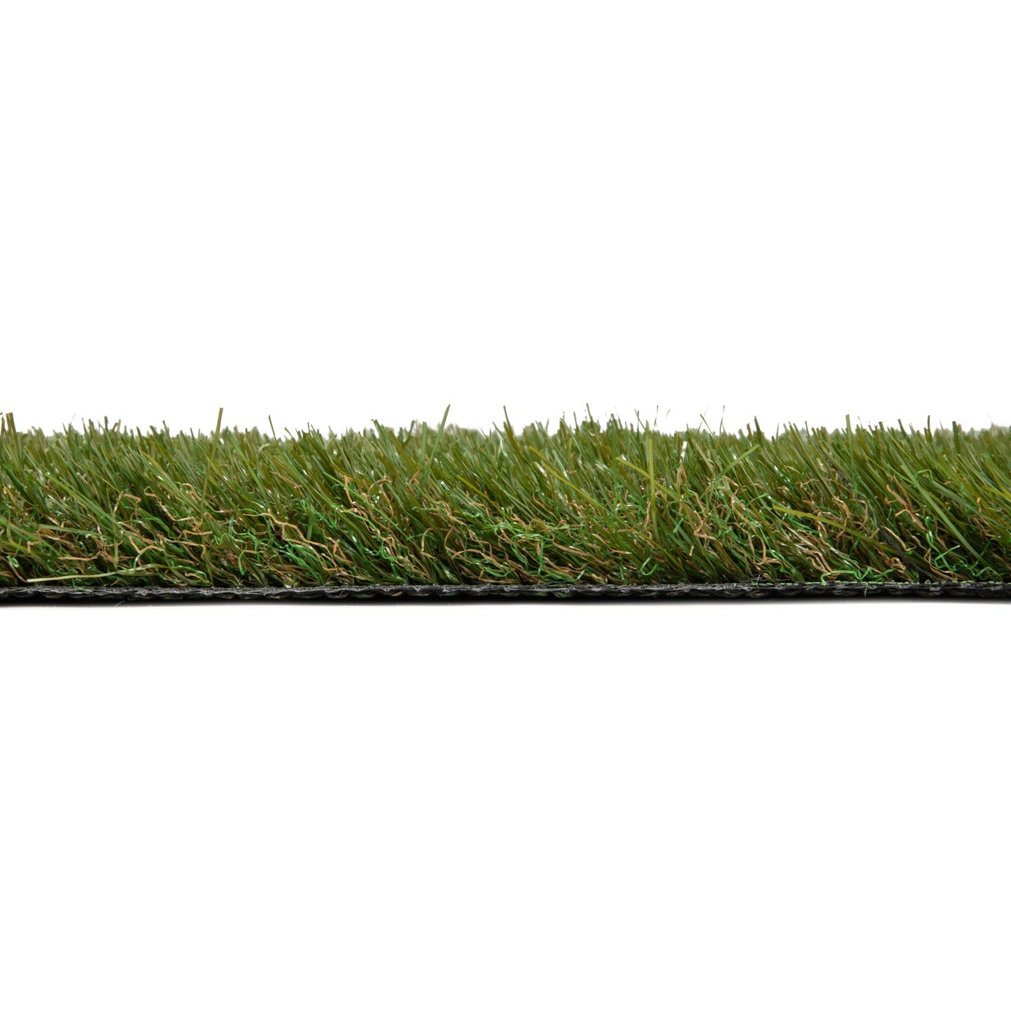 Pioneer Wall Grass