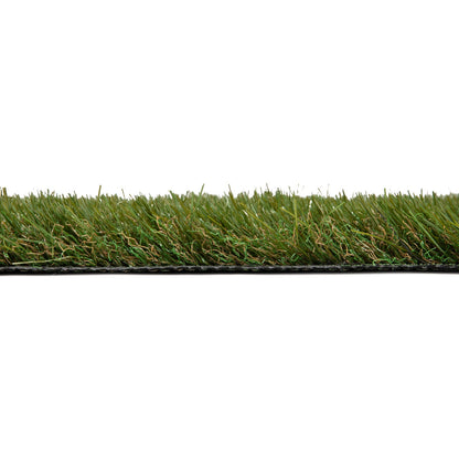 Pioneer Wall Grass