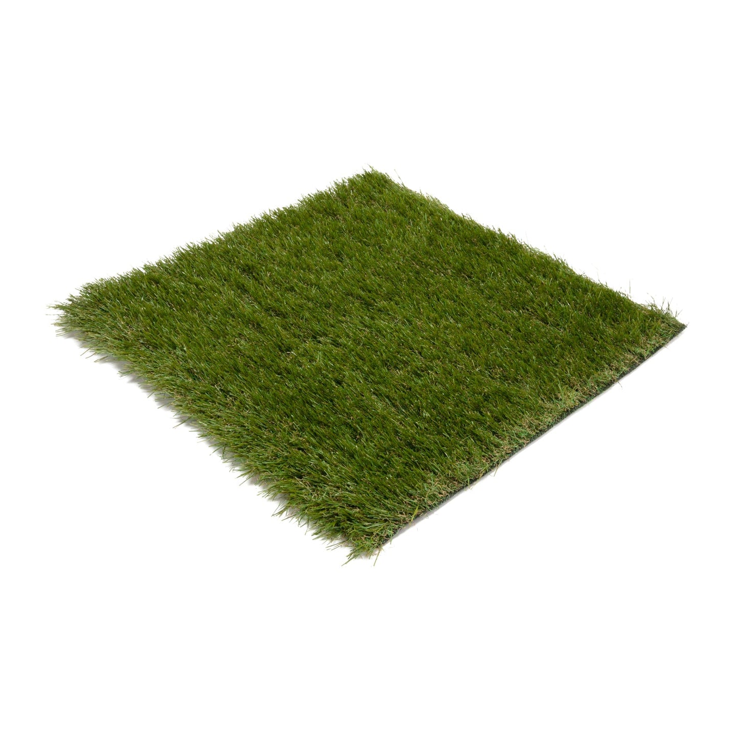 Pioneer Wall Grass